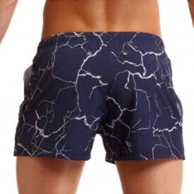 FT40M709670 FUNKY TRUNKS MENS Shorty Shorts Short Silver Lining